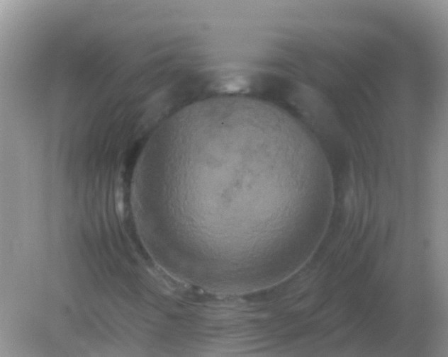 X0000082201442200701270106