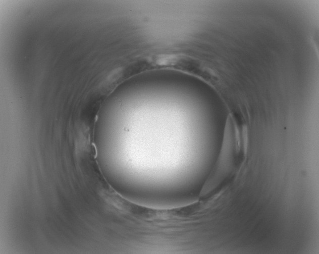 X0000082201443200701270106