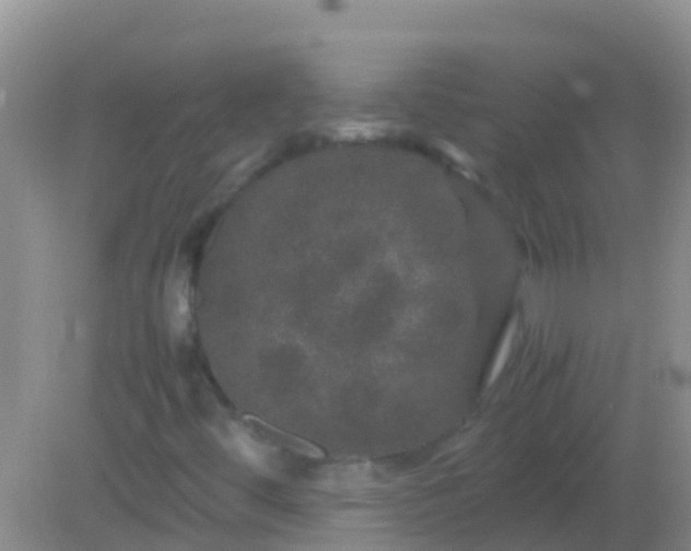 X0000082201444200701270106