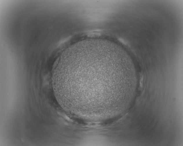 X0000082201445200701270106