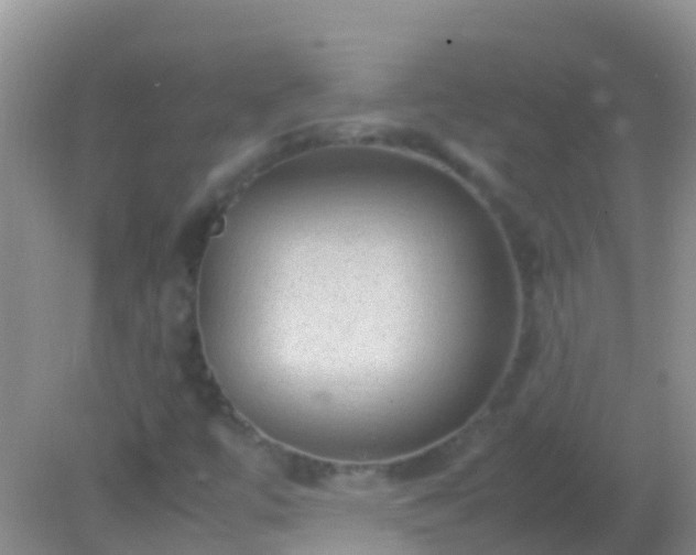 X0000082201447200701270106