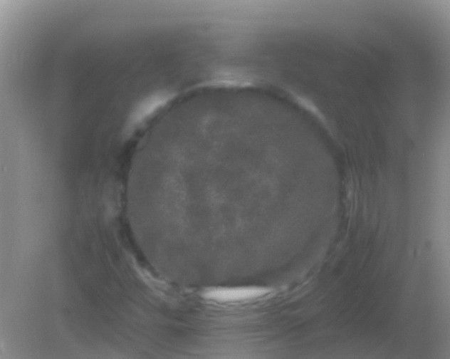 X0000082201448200701270106