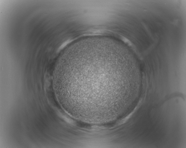 X0000082201449200701270106