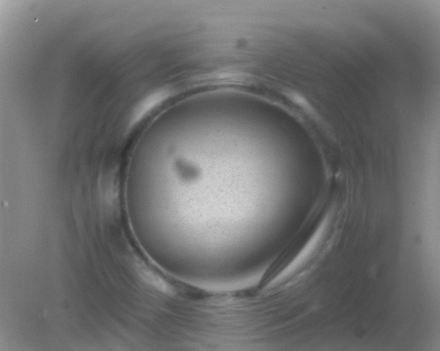 X0000082201450200701270106