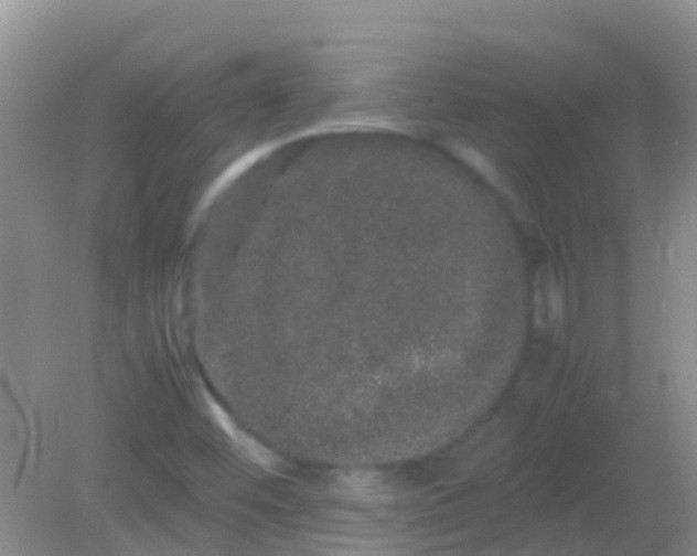 X0000082201452200701270106