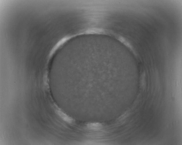 X0000082201454200701270106