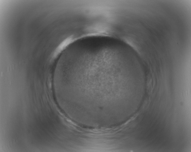 X0000082201455200701270106