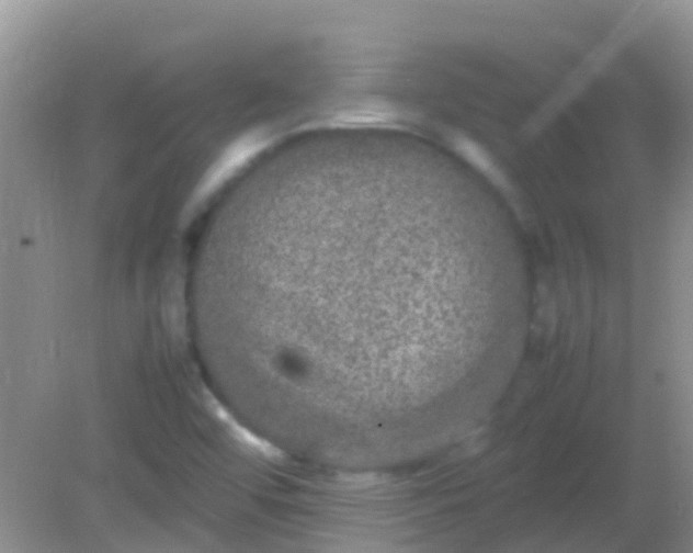 X0000082201456200701270106