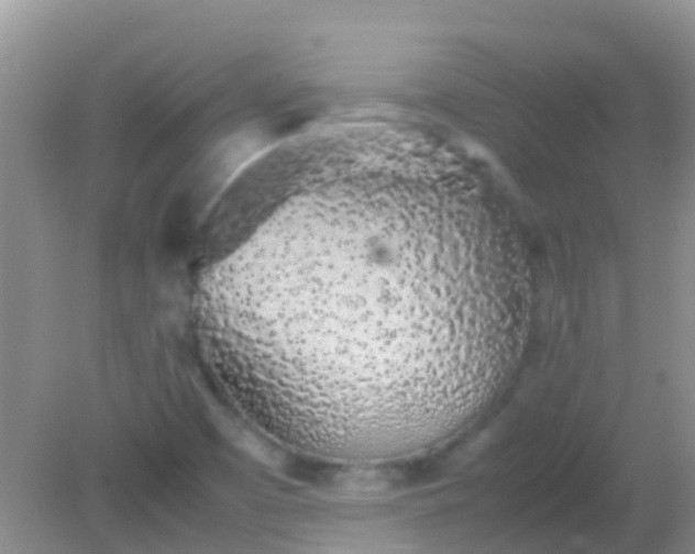 X0000082201457200701270106