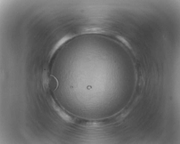 X0000082201458200701270106