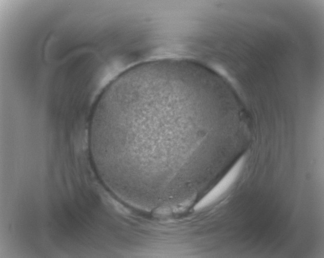 X0000082201459200701270106