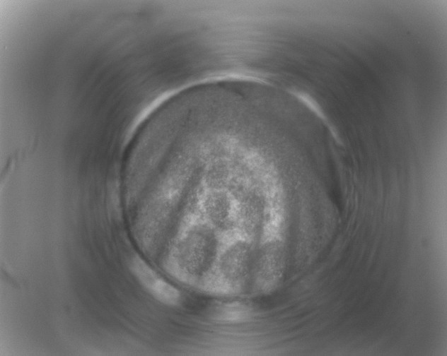 X0000082201460200701270106