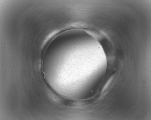 X0000082201461200701270106