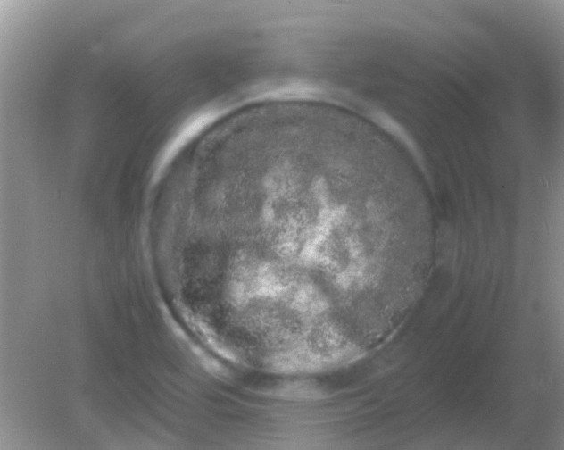 X0000082201464200701270105