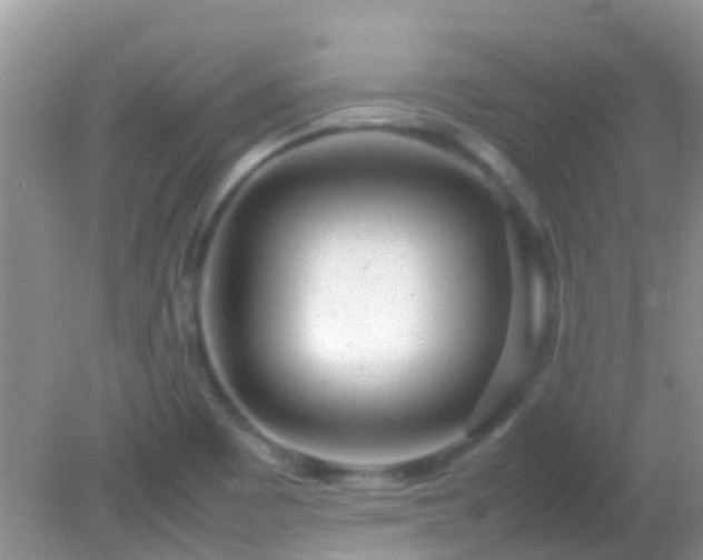 X0000082201465200701270105