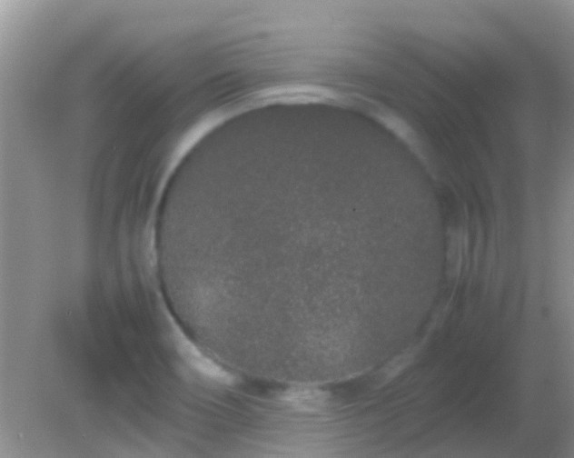 X0000082201466200701270105