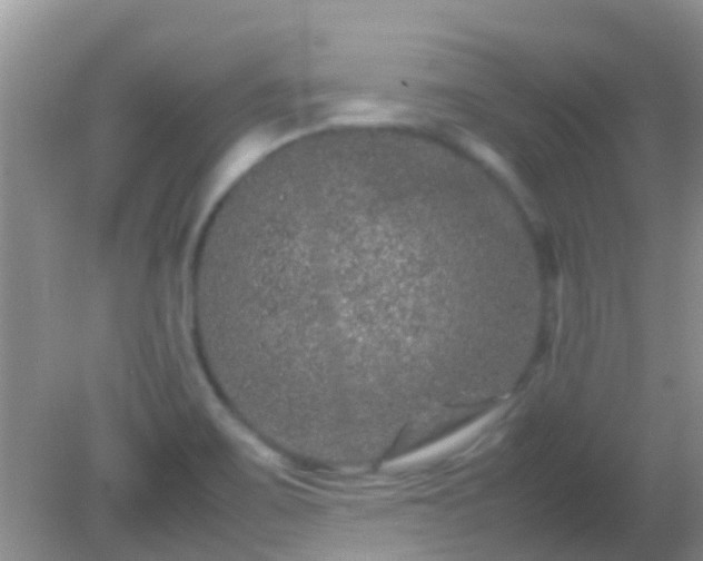 X0000082201467200701270105