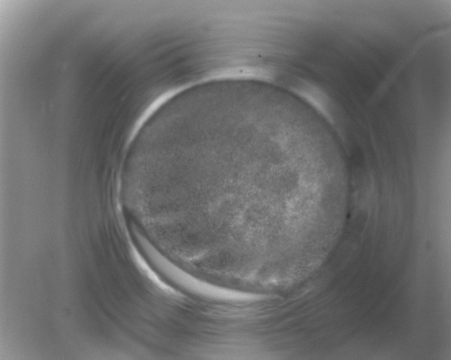 X0000082201468200701270105