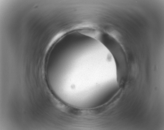 X0000082201469200701270105