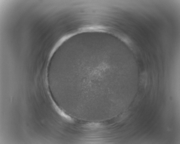 X0000082201470200701270105