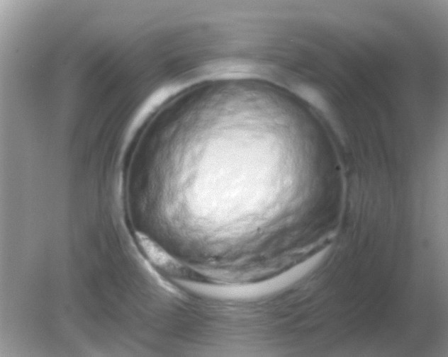 X0000082201472200701270105