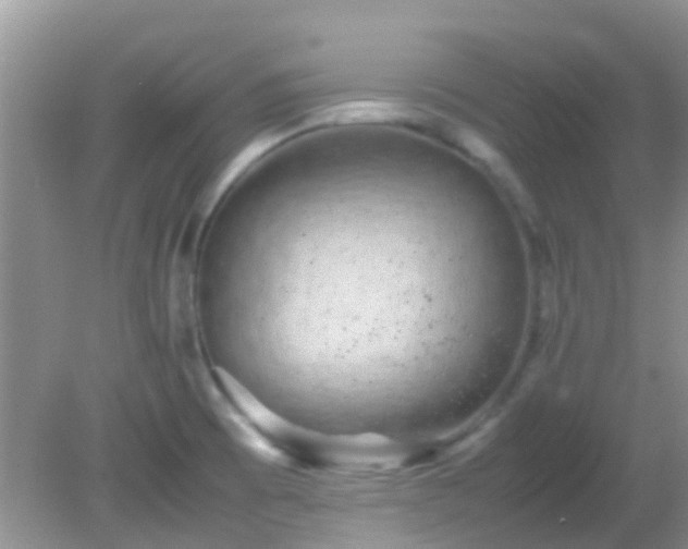 X0000082201473200701270105