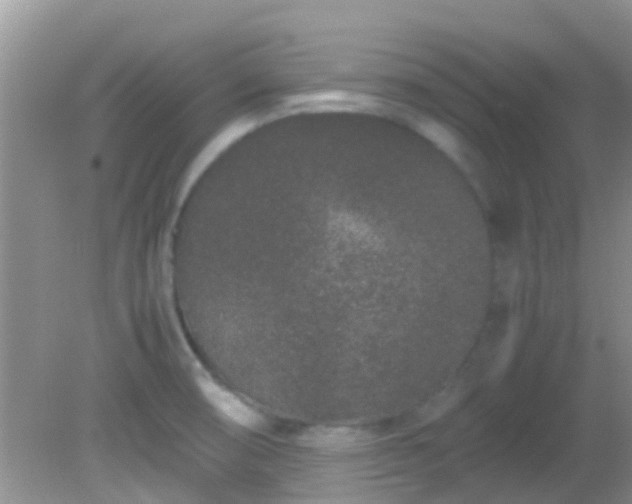 X0000082201474200701270105