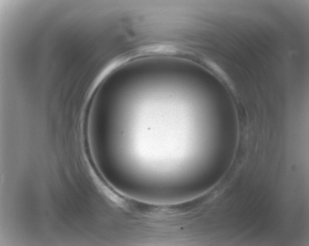 X0000082201475200701270105