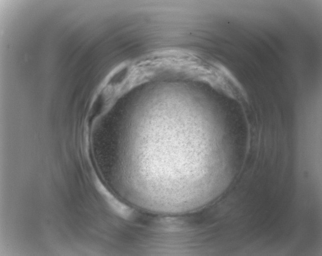 X0000082201476200701270105