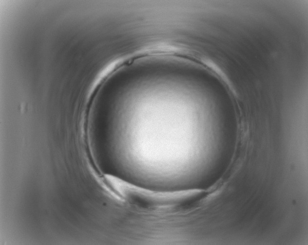 X0000082201477200701270105