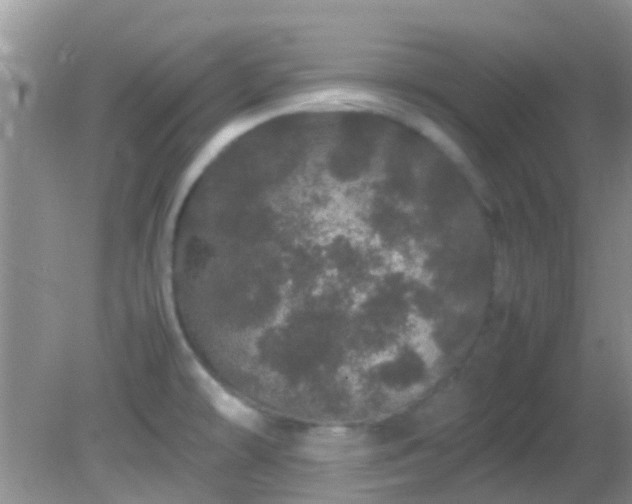 X0000082201478200701270105