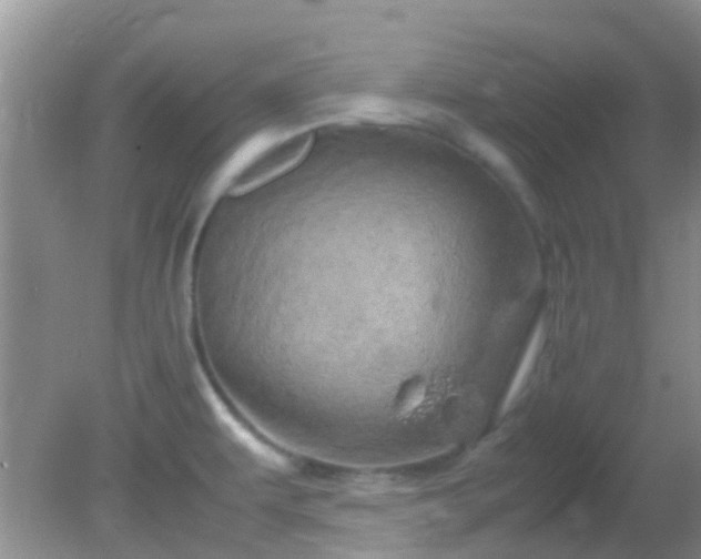 X0000082201479200701270105