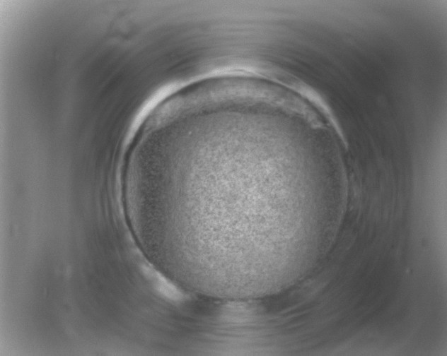 X0000082201480200701270105