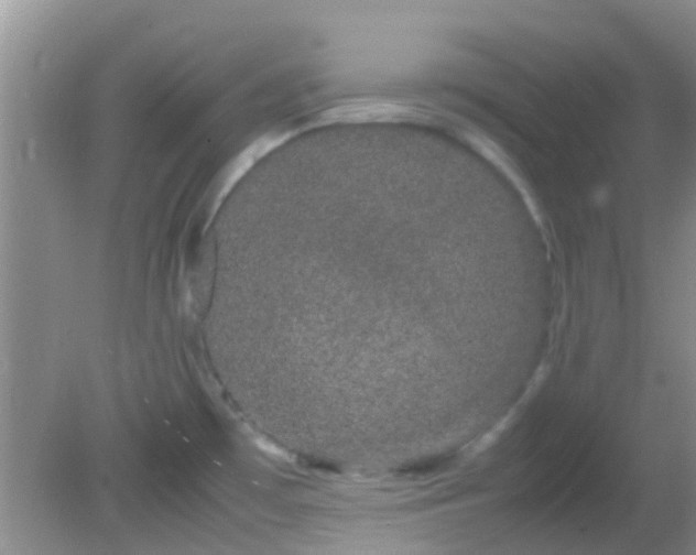 X0000082201481200701270105