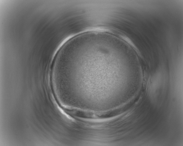 X0000082201484200701270105