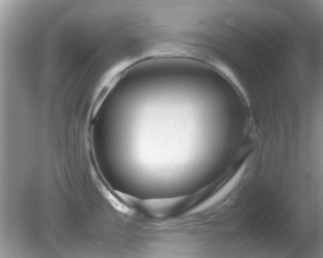 X0000082201485200701270105