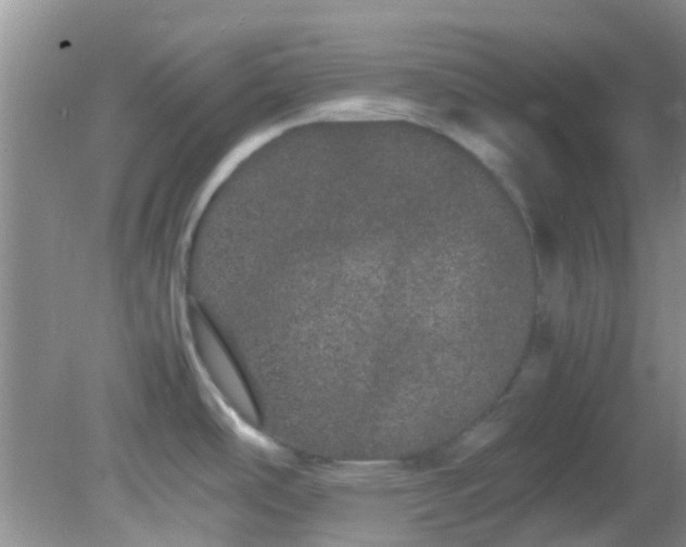 X0000082201486200701270105