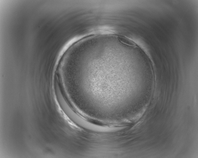 X0000082201488200701270105