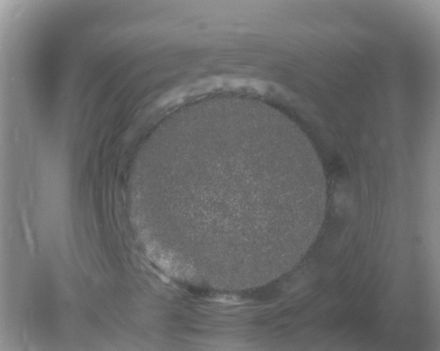 X0000082201489200701270104