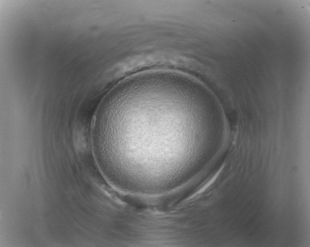 X0000082201490200701270104