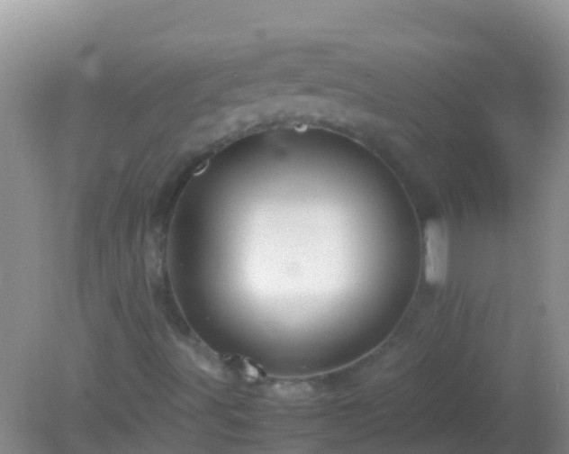 X0000082201491200701270104