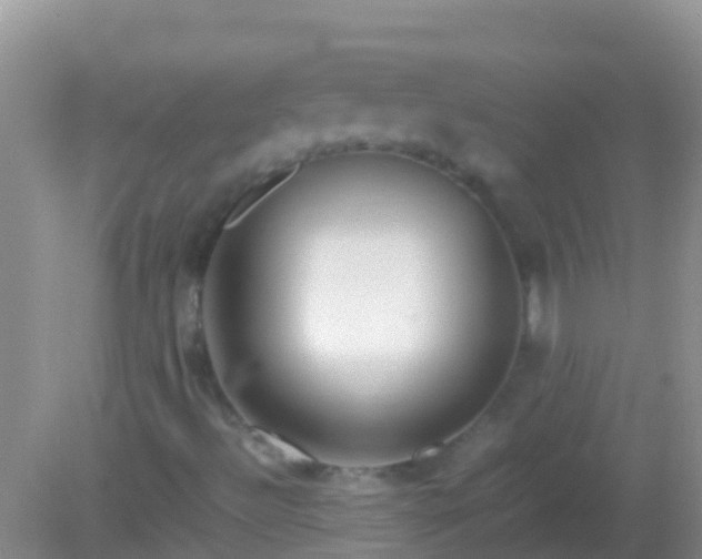 X0000082201492200701270104