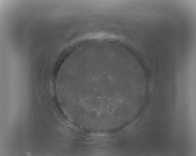 X0000082201493200701270104