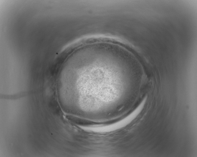 X0000082201494200701270104