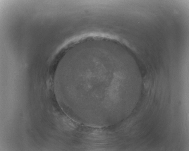 X0000082201495200701270104