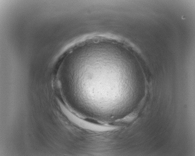 X0000082201496200701270104