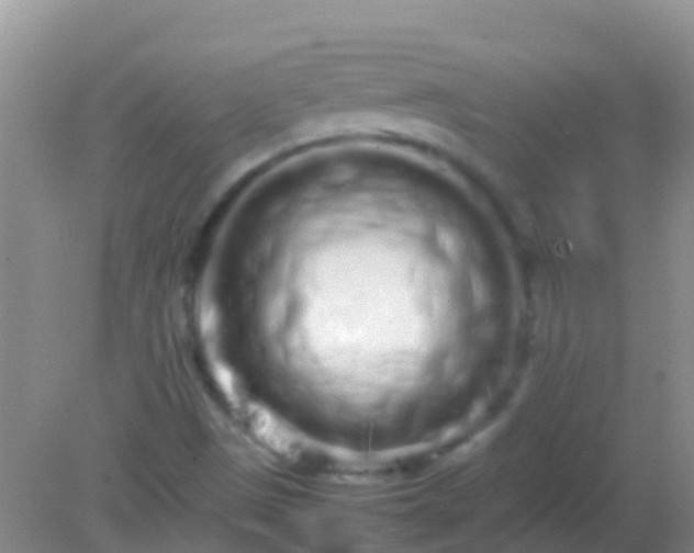 X0000082201497200701270104