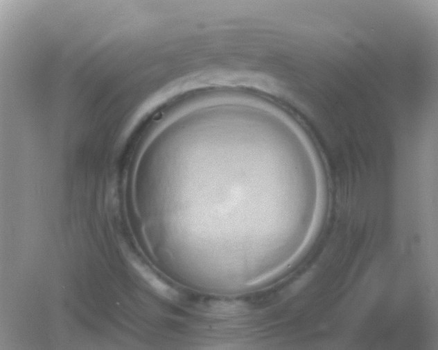 X0000082201498200701270104