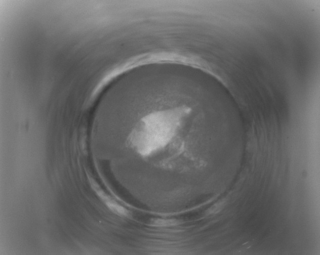 X0000082201499200701270104