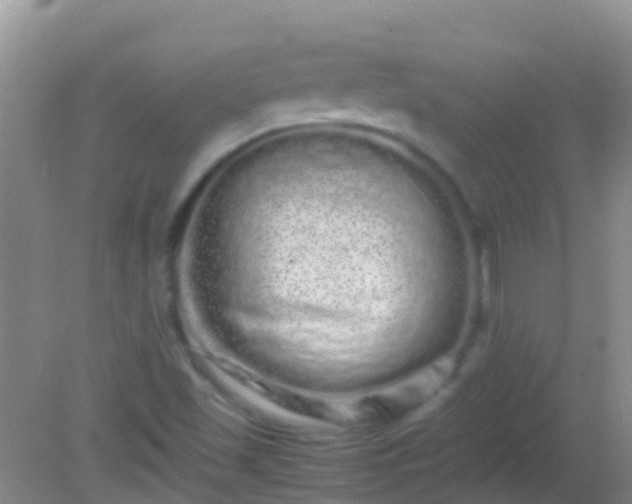 X0000082201501200701270104